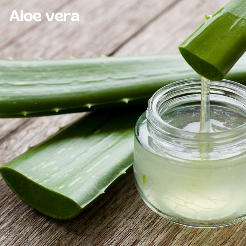 Aloe vera_succo